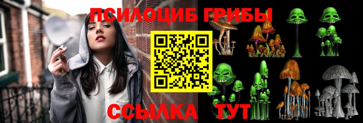 Псилоцибиновые грибы прущие грибы  Вход с VPN  Среднеуральск 
