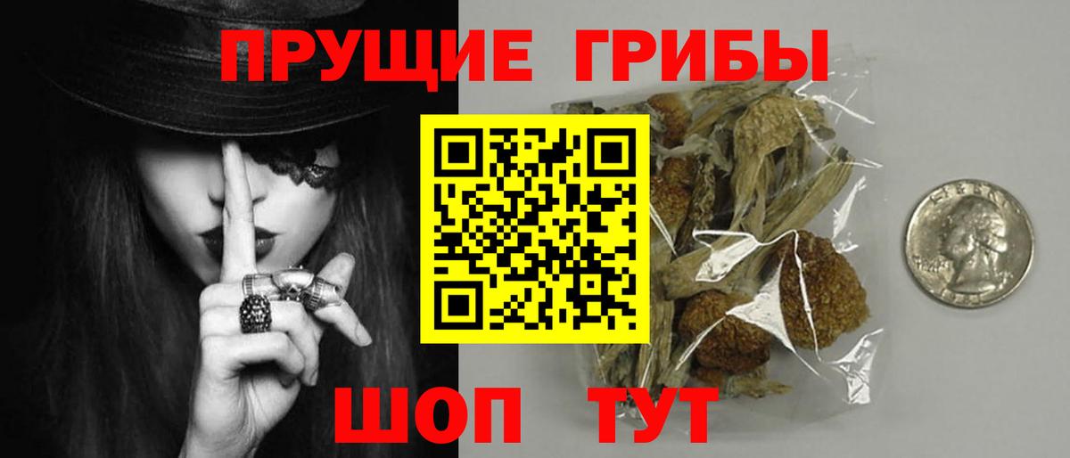 Псилоцибиновые грибы прущие грибы Среднеуральск